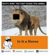 IMG_20210810_082941.png