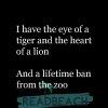eye-puns-i-have-the-eye-of-a-tiger-and-the-he.jpg