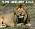 No-Take-Another-I-Think-Lion-Meme.jpg
