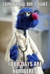 9a1fdd5a065893490572eb16b11c1e0a--dr-grover-the-muppets.jpg