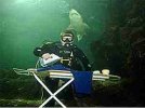 25-insane-examples-extreme-ironing-10.jpg