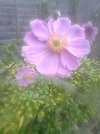 Photo0316.jpg