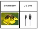 bee usb.jpg
