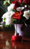 flower 005.JPG flower 005.JPG