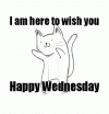 wednesday1_1_0.gif
