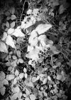 20210926_084447.jpg