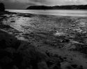 20210929_170349.jpg 20210929_170349.jpg