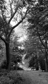 20211001_181032.jpg 20211001_181032.jpg
