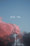 photofunky.gif