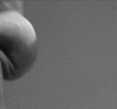 31433.gif