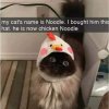 FB_IMG_1602091239840.jpg
