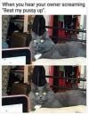 FB_IMG_1600902057623.jpg