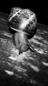 20211020_220956.jpg