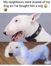 FB_IMG_1634802934408.jpg