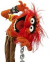 Animal_(Muppet).jpg