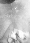 20211021_193355.jpg