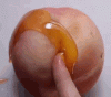 6B81C99E-5D41-4342-B241-7A537267C483.gif