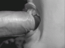 9875317.gif