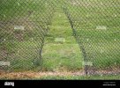 hole-cut-in-chain-link-fencing-in-the-uk-BN9C1D.jpg