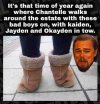 FB_IMG_1635240741861.jpg