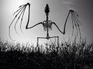 mothman_skeleton-compressor.jpg