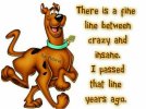 539695ac1010c76ba7bdb27f874b9098--lol-funny-funny-memes.jpg