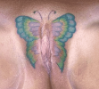 Butterfly-Vagina-Tattoo.png
