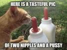here-isa-tasteful-pic-oftwo-nipplesanda-pussy-the-best-pussy-54007894.png