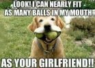 dog-lookican-nearly-fit-as-many-ballsinmy-mouth-as-girlfriend.jpg