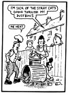 straycats.jpg