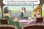 images (1).jpeg