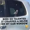 FB_IMG_1634374925144.jpg