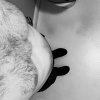 IMG_5853.jpeg