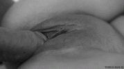 e0f302450416a8b79c2b984d357fc2fc490fa3297ec5133c.gif