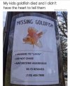 FB_IMG_1637348639698.jpg