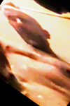 Screenshot_20211005-151238~7.png