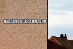 street3.jpeg