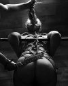 8f96fb070dfc6db6c4fee536eb4b8a7d5b5589f0.jpeg