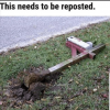 16b0172459fcbc61f797c99281d5980b.png