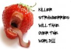 killer-strawberries.jpg