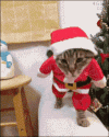 1639511344383.gif