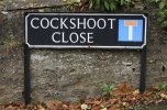 cockshootclose.jpg