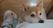 1639596091960.gif