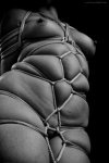174_1000.jpg