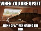Motivational-Memes65.jpg