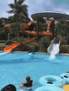dweebix-pool.gif