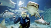 Woman-swimming-with-sharks-in-an-Aquarium-2.jpg