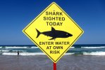 shark-sign.jpg