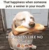 lab-weiner.gif
