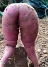 The-sexy-shaped-potato.jpg